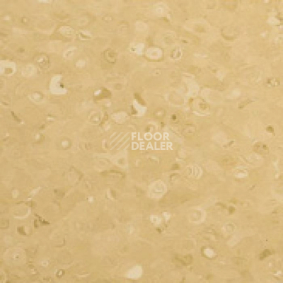 Линолеум Apoluza Tangyun 1021 фото 1 | FLOORDEALER