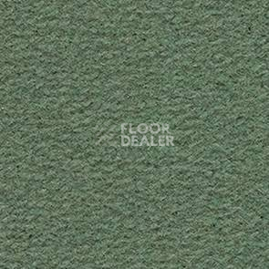 Ковролин Balsan Altitude Altitude 245 фото 1 | FLOORDEALER