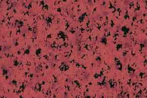 Линолеум Novoflor Extra Super 2120-45 фото  | FLOORDEALER