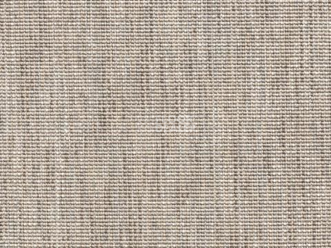 Ковролин Salix Salix 6302 78 фото 1 | FLOORDEALER