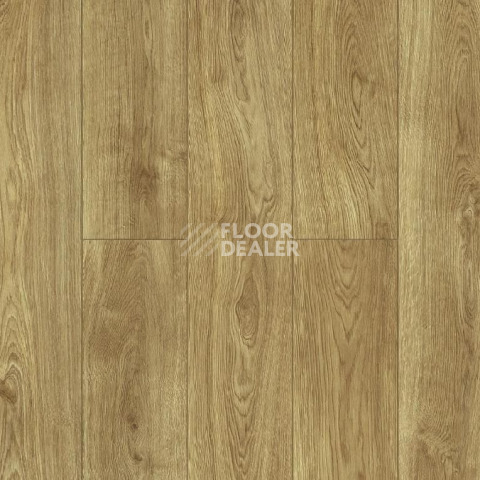 Alpine Floor Aqua Life XL 8мм LF104-07 ДУБ КАДДО фото 1 | FLOORDEALER