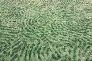 Ковровая плитка Escom Napoli Escom Napoli фото  | FLOORDEALER