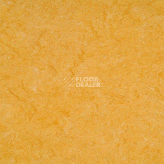 Линолеум Marmorette DLW 2.5mm 121-072 фото 1 | FLOORDEALER