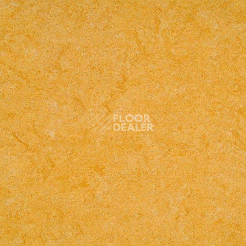 Линолеум Gerflor Marmorette DLW 2.5mm 121-072 фото 1 | FLOORDEALER