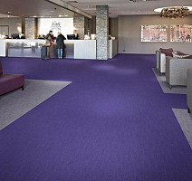 Flotex Colour s 482024 Penang Purple фото 2 | FLOORDEALER