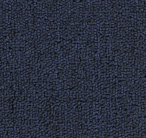 Ковролин Salisbury Beaulieu of America 316 фото 1 | FLOORDEALER