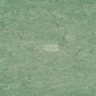 Линолеум Gerflor Marmorette DLW 2.5mm 121-043 фото 1 | FLOORDEALER