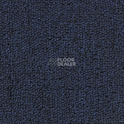 Ковролин Salisbury Beaulieu of America 316 фото 1 | FLOORDEALER