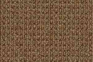 Ковролин Desso Conga 2924 фото  | FLOORDEALER