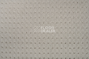 Balsan Territoires Atrium 911 фото 2 | FLOORDEALER