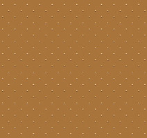 Ковролин Big Carus SE 008-21 b 14 фото 1 | FLOORDEALER