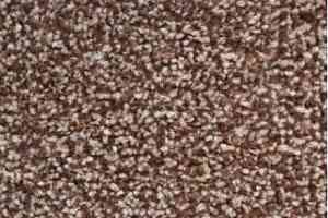 Ковролин SAG Palmira 41 фото  | FLOORDEALER