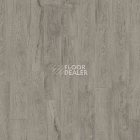 Kronotex Mammut Plus d4671 Дуб Магнум Серый фото 4 | FLOORDEALER