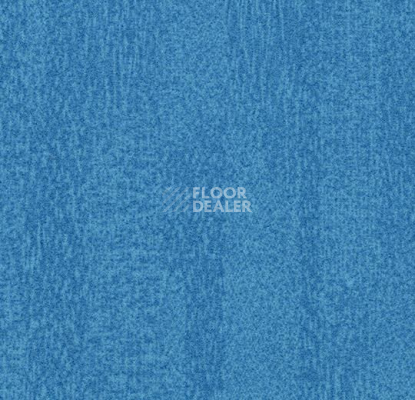 Ковровая плитка Flotex Colour Penang 50*50 t 382011 Penang Sapphire фото 1 | FLOORDEALER