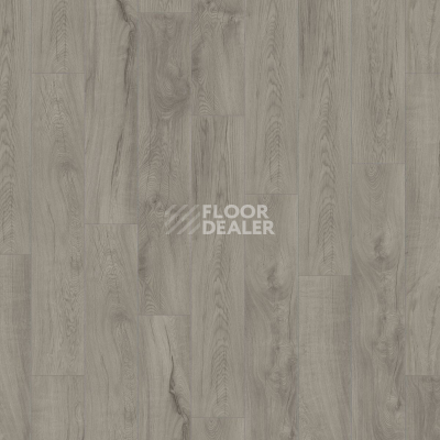 Ламинат Kronotex Mammut Plus d4671 Дуб Магнум Серый фото 4 | FLOORDEALER
