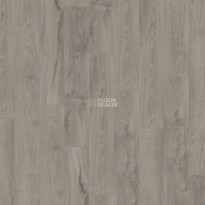 Ламинат Kronotex Mammut Plus d4671 Дуб Магнум Серый фото 4 | FLOORDEALER