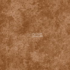 Ковролин AW Aspetto 34 фото 1 | FLOORDEALER