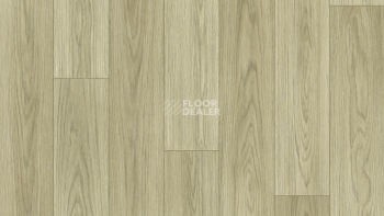 Линолеум Tarkett Force Norman 1 фото 1 | FLOORDEALER