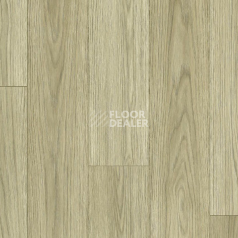 Линолеум Tarkett Force Norman 1 фото 1 | FLOORDEALER