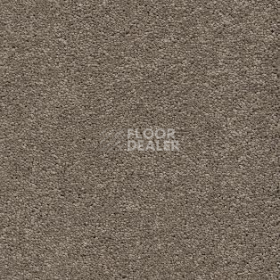 Ковролин AW VivendiI Aaura 37 фото 1 | FLOORDEALER
