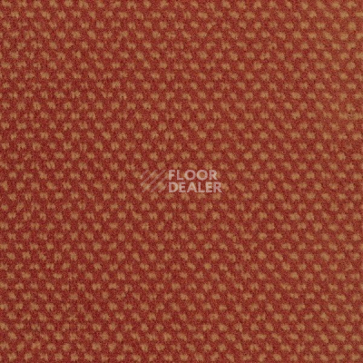 Ковролин Sintelon Podium 29413 фото 1 | FLOORDEALER