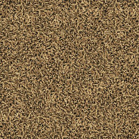 Ковровая плитка Desso Twist 1958 фото 1 | FLOORDEALER