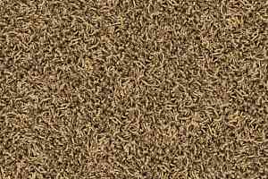 Ковровая плитка Desso Twist 1958 фото  | FLOORDEALER