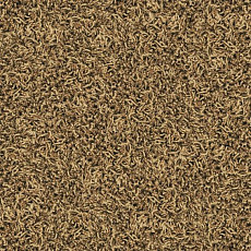 Desso Twist 1958 фото 1 | FLOORDEALER