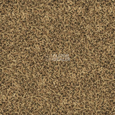 Ковровая плитка Desso Twist 1958 фото 1 | FLOORDEALER