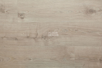 My Floor Cottage 8мм mv808 Дуб бежевый Атласный фото 16 | FLOORDEALER