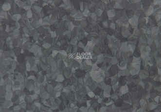 Tarkett iq Melodia 2604 фото 3 | FLOORDEALER