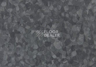 Tarkett iq Melodia 2604 фото 3 | FLOORDEALER