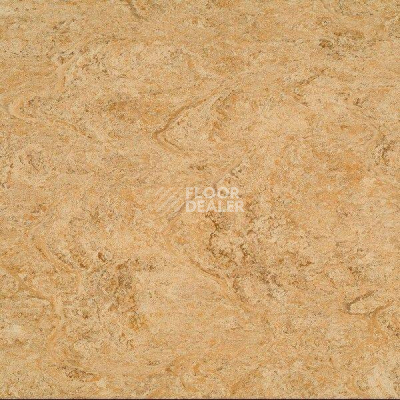 Линолеум Marmorette PUR 125-070 фото 1 | FLOORDEALER