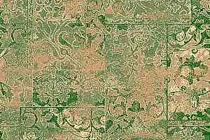 Ковролин Big Grande Retro 21002 фото  | FLOORDEALER