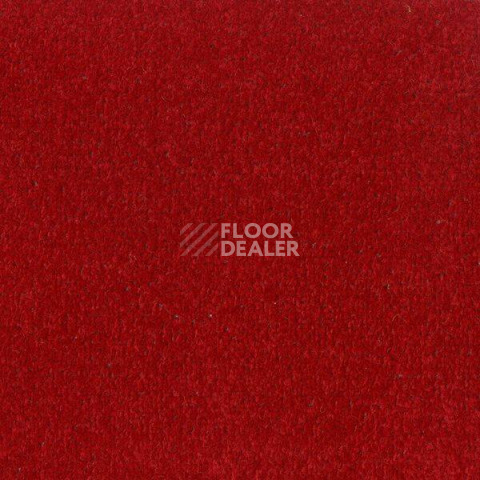 Ковролин Big Fancy 440 фото 1 | FLOORDEALER