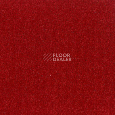 Ковролин Big Fancy 440 фото 1 | FLOORDEALER