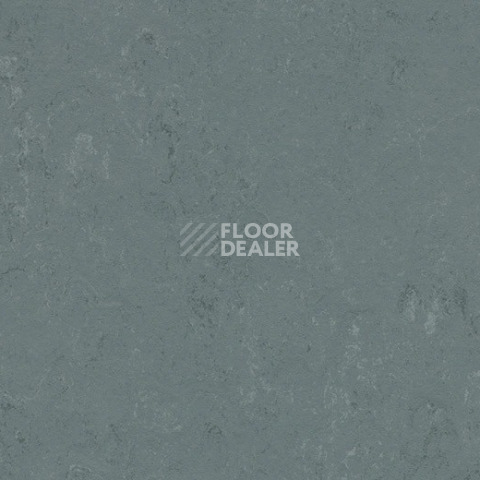 Линолеум Forbo Marmoleum Solid Concrete 3756 Neptune фото 1 | FLOORDEALER