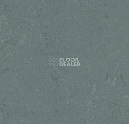 Линолеум Forbo Marmoleum Solid Concrete 3756 Neptune фото 1 | FLOORDEALER