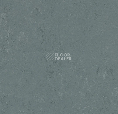 Линолеум Forbo Marmoleum Solid Concrete 3756 Neptune фото 1 | FLOORDEALER