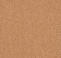 Ковровая плитка Shaw Momentum 02211 фото 1 | FLOORDEALER