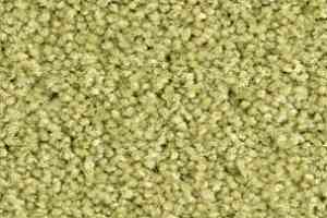 Ковролин Balsan Bolero roll 240 фото  | FLOORDEALER