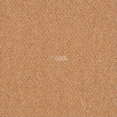 Shaw Momentum 02211 фото 1 | FLOORDEALER