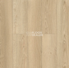 Ламинат Alpine Floor Murano 12мм LF120-01 Дуб Валенсия фото 1 | FLOORDEALER