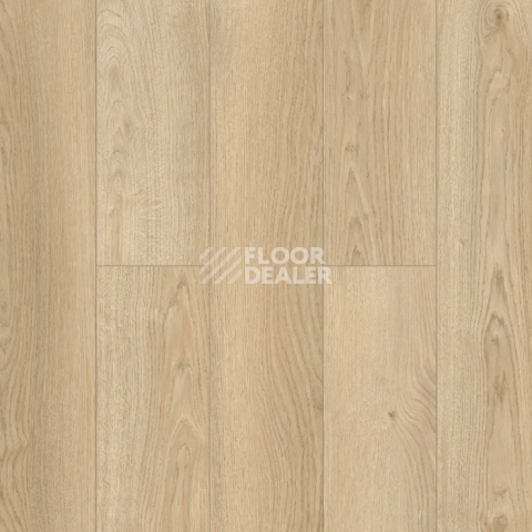 Ламинат Alpine Floor Murano 12мм LF120-01 Дуб Валенсия фото 1 | FLOORDEALER