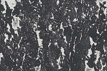 Пробковое покрытие Corkstyle Mountain настенное MONTE NOIRE фото 1 | FLOORDEALER