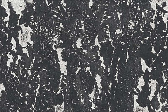 Пробковое покрытие Corkstyle Mountain настенное MONTE NOIRE фото 1 | FLOORDEALER