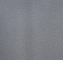 Линолеум Lg Calmpasso CP 93509 фото 1 | FLOORDEALER