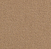 Ковролин Balsan Residentiel 770 фото 1 | FLOORDEALER