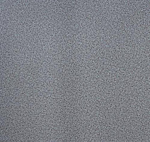 Линолеум Lg Calmpasso CP 93509 фото 1 | FLOORDEALER