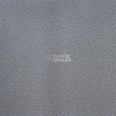 Линолеум Lg Calmpasso CP 93509 фото 1 | FLOORDEALER